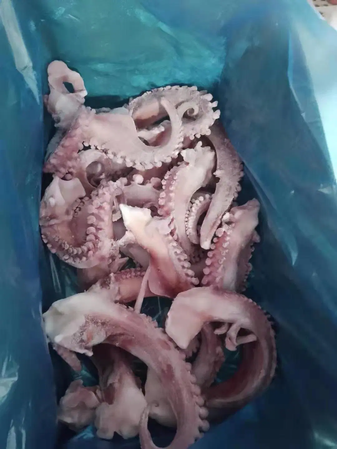 Замороженное морепродукты Squid Calamari Pota щупальца