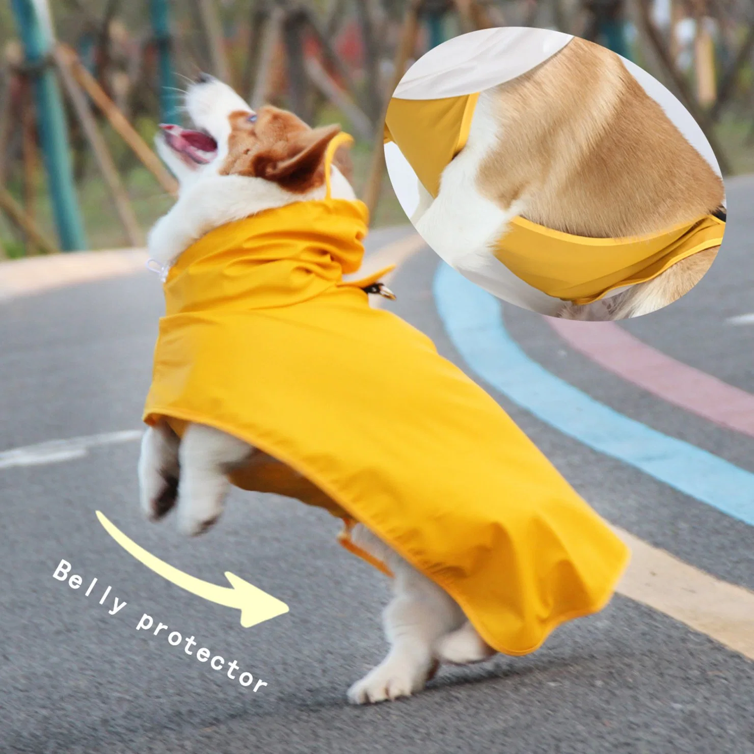 Designer Pet Coat Bunte Wasserdichte Regenjacke Pet Product Dog Product