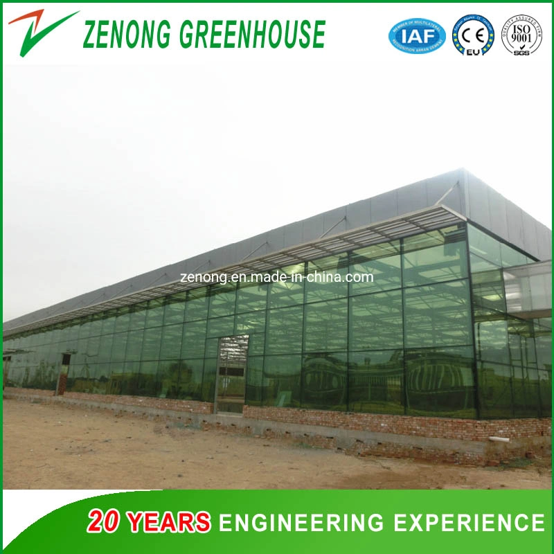 Hot DIP Galvanized Multi Span Gutter Glass PC Greenhouse for Hydroponics Vegetables