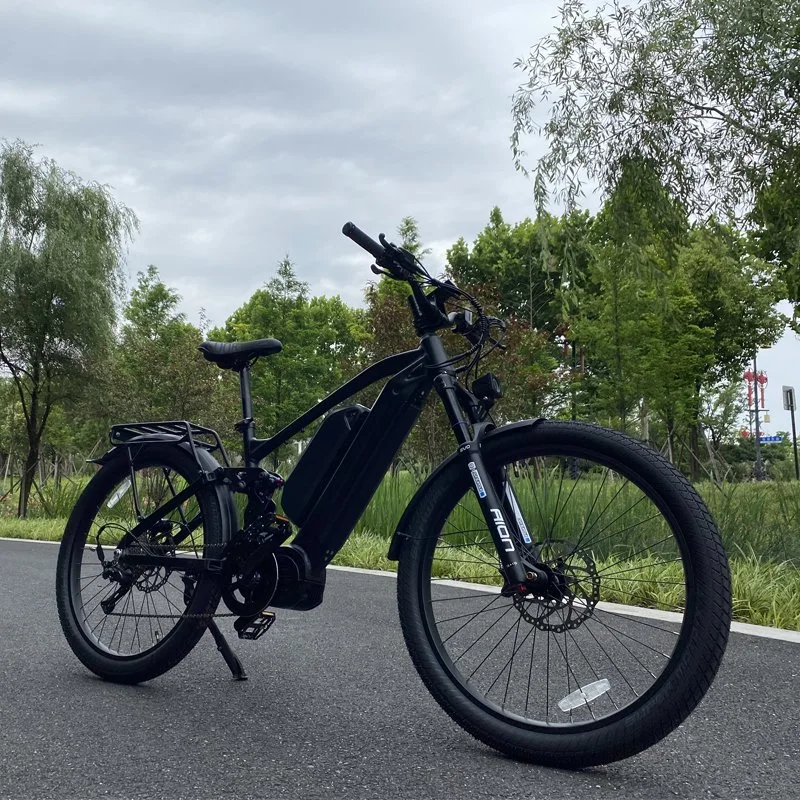 China OEM 1000W MID Drive Electric Bicycle