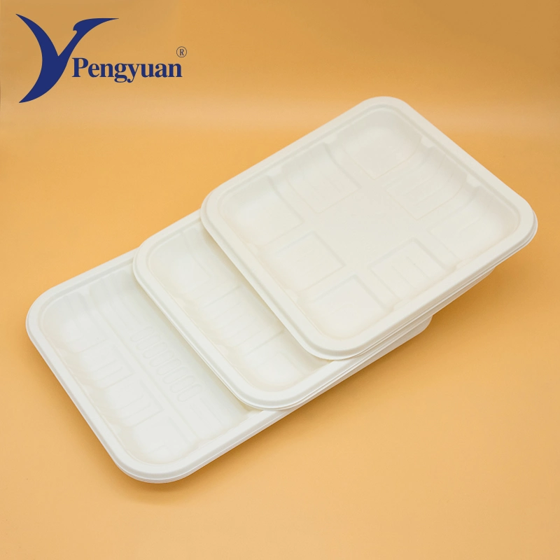 Corn Starch Disposable Paper Food Tray