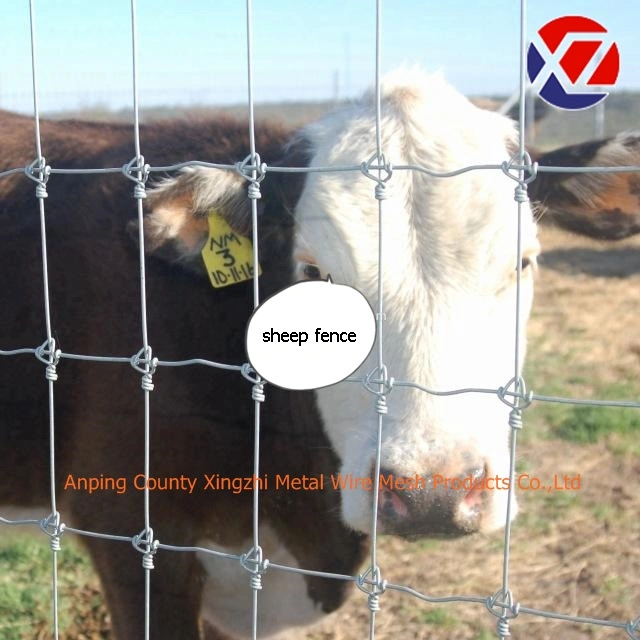 Sheep/Deer Fence Used for Farm Feeding