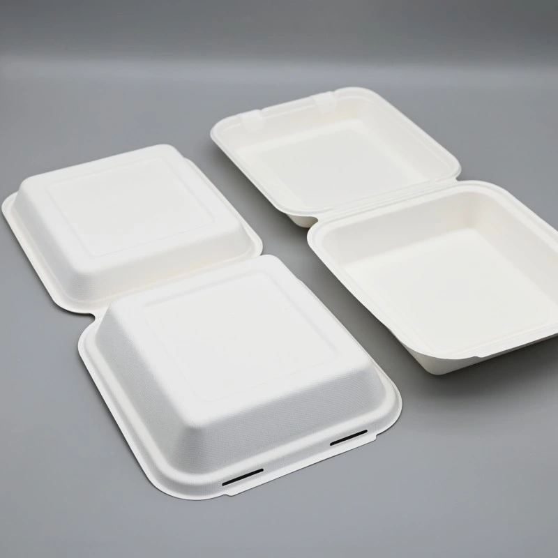 Sugarcane Bagasse Disposable Environmentally Friendly Flip Over Lunch Box 8.5inch