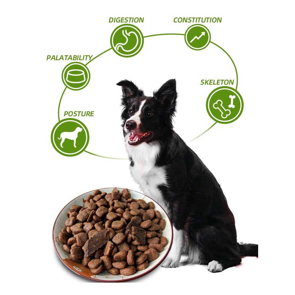 20 Kg in Bulk OEM Manufacturers Factory for Sale Customized for Kazakhstan Product Dogs Dry Food Pets Food