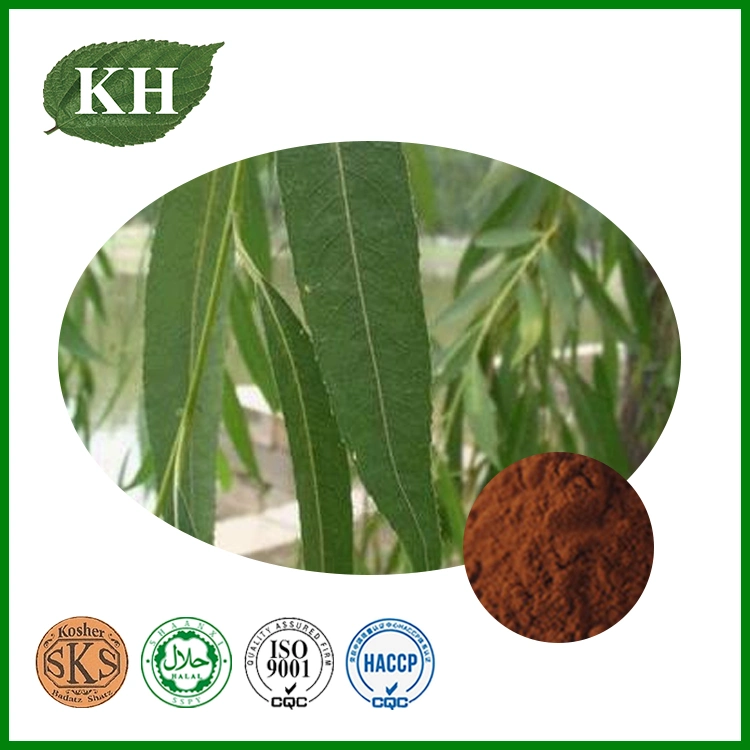 High Quality White Willow Bark Extract Salicin