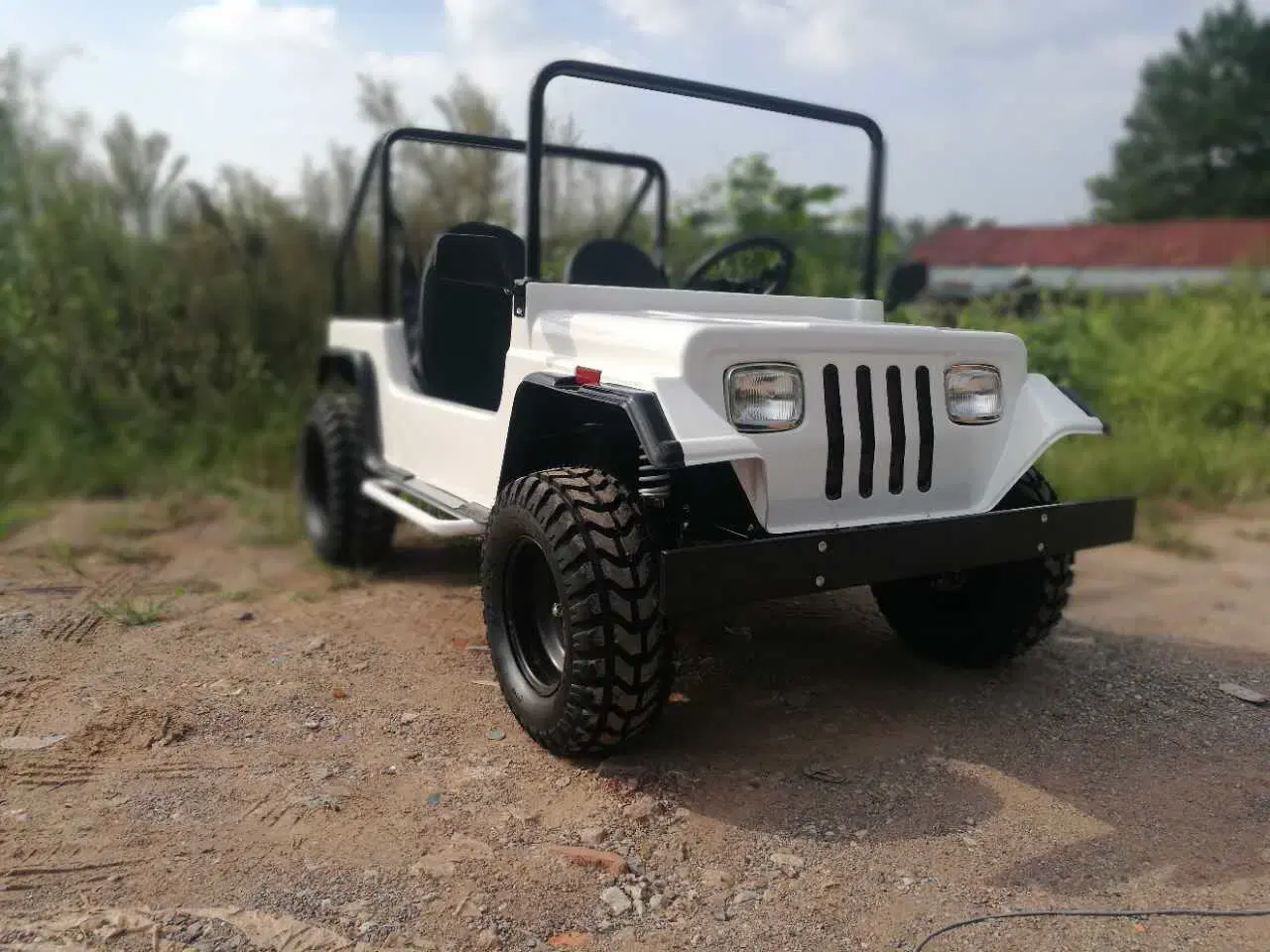 Cheap 125cc Cool Willys Jeep Dune Buggy Go Karts Gas Powered Mini Jeep for Sale