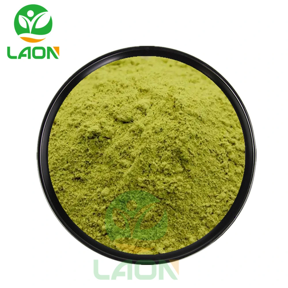 Sophora Japonica Extract Quercetin CAS 117-39-5 98% Quercetin Powder