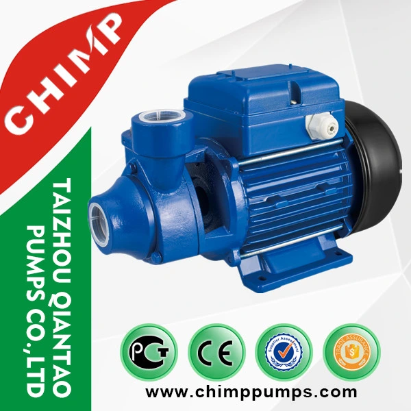 Chimp 0,5HP selbstansaugende Wasserpumpe CE-Zulassung (QB60)