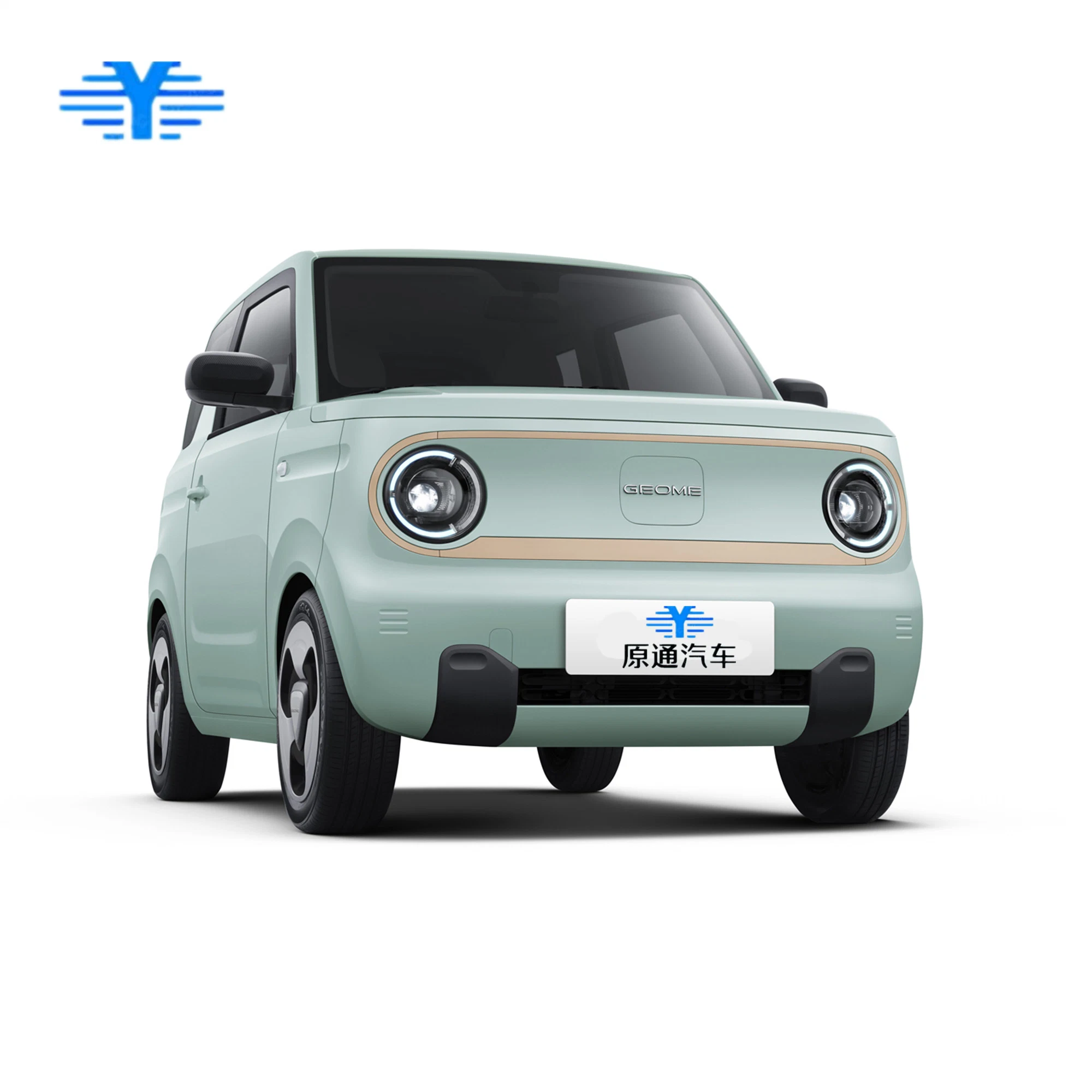 Best Car for Under 5000 Geely Panda Mini EV Car Small Electric Vehicle Very Cute and Harmless Super Value Special Offer
