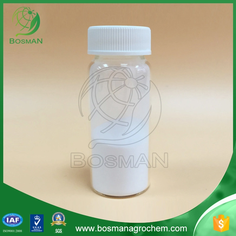 High quality Clopyralid 95% TC / herbicide