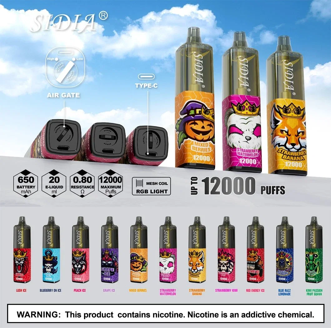 10 Flavors UK Hot Selling Sidia12000 Puffs Disposable/Chargeable Vape E-Cigar Puff Bar Vape Pen