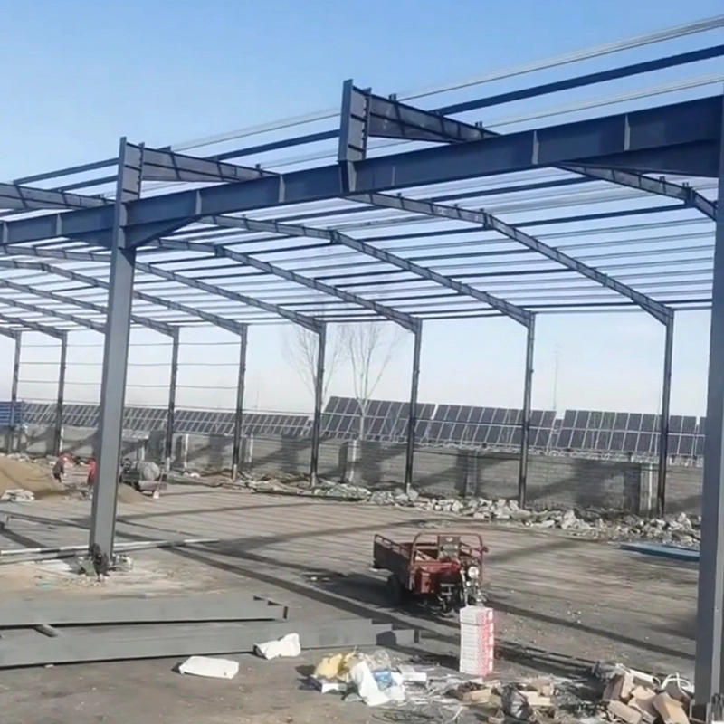 Steel Structure Factory Wholesale/Supplier Prefabricated Steel Structure Series Buildings