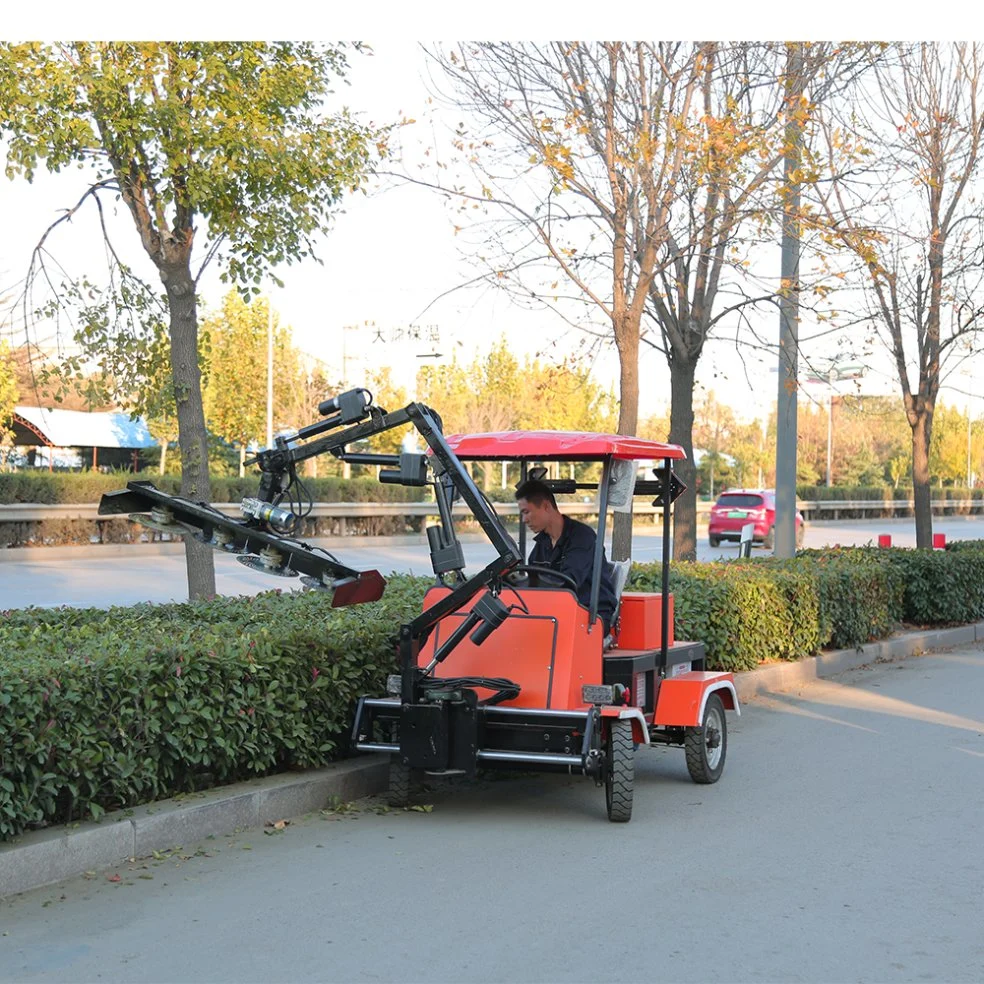 El recortador de cobertura eléctrica autopropulsada Fresa del bosque del Parque Jardín barbero eléctrico