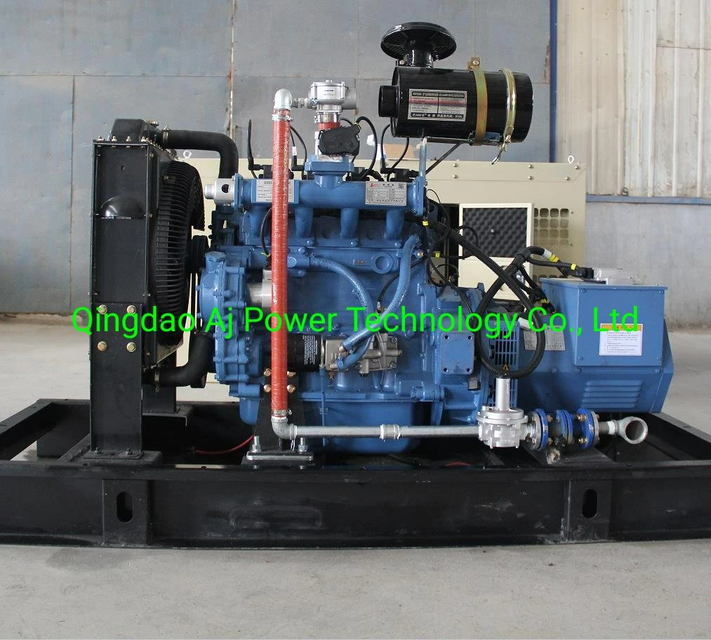 Ricardo 12kw 15kVA Biogas Generator Set Cheap Price Made in China