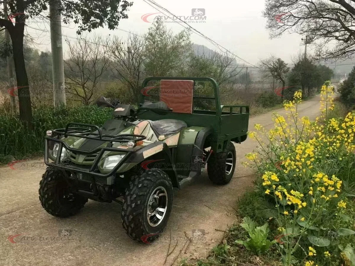 Big Discount 200cc 250cc 300cc 400cc Gas Cargo Farm UTV ATV Quad Bike Price