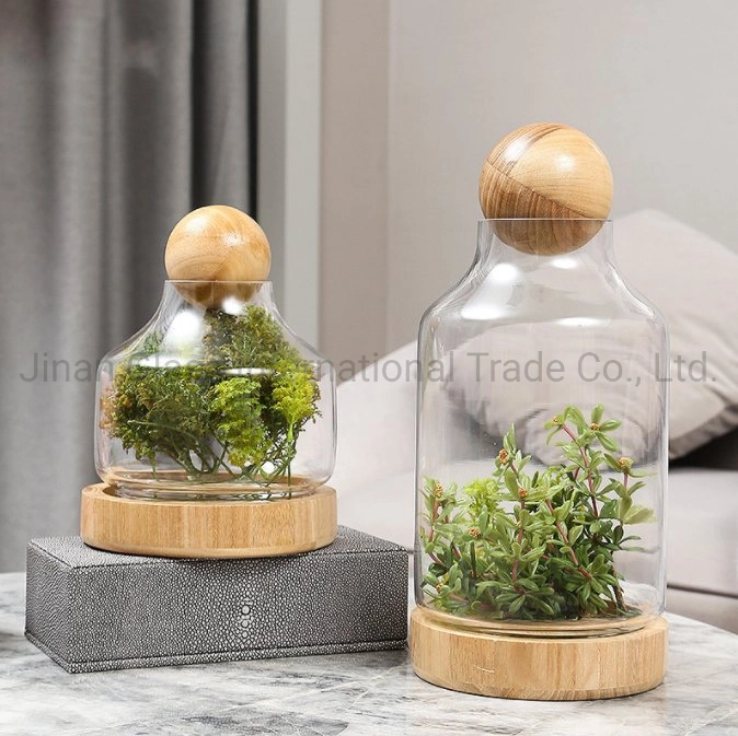 New Creative Modern Glass Vase Handicraft Immortal Flower Ornament with Wooden Ball Glass Storage Tank