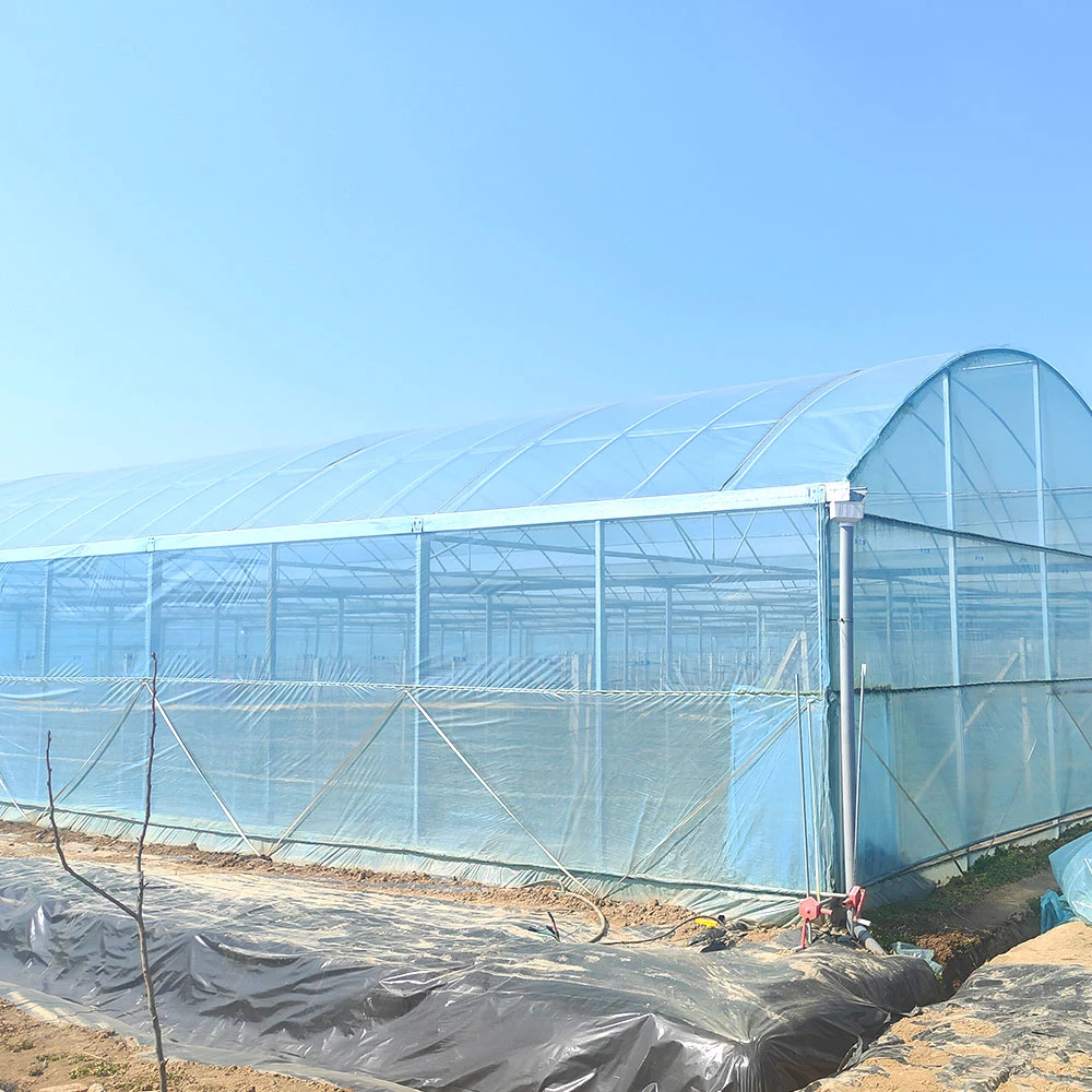 White and Blue UV Protection Tensile and Tear Resistance Plastic Po/PE Greenhouse Film for Agriclture Vegetable Plant