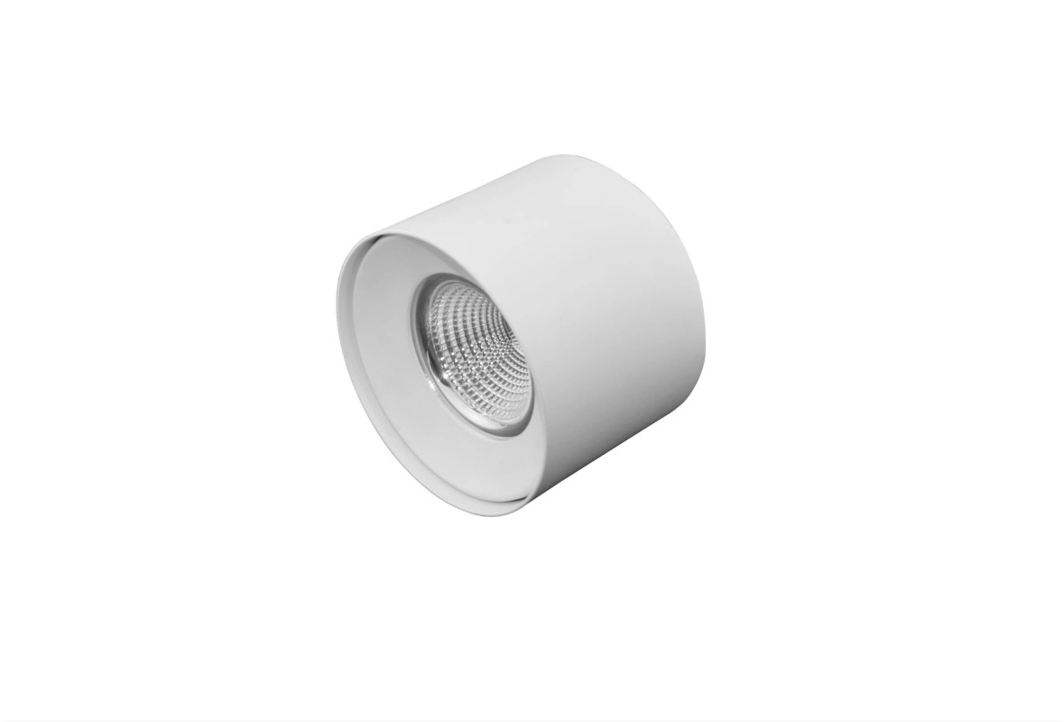 30W COB Surface Mounted LED Downlight