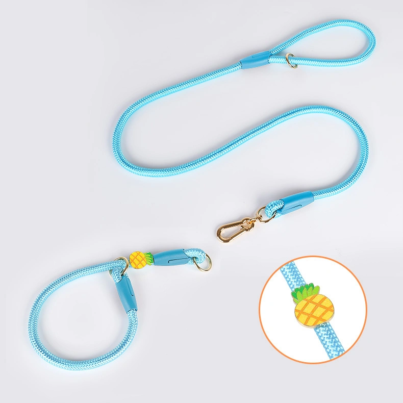 Pet Chain Nylon Rope Dog Leash Collar Set Activity Slid Lead Dog Leash for Pet