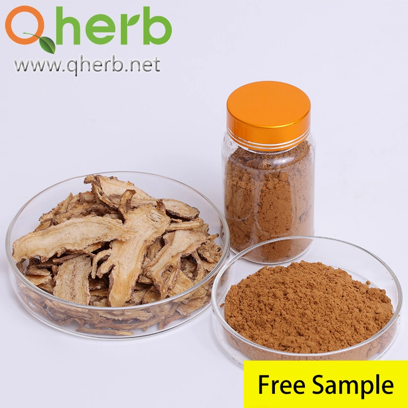 Natural Chinese Herbal Plant Extract 1% Ligustilide Angelica Sinensis Root Extract with Factory Price to Improve Immunity