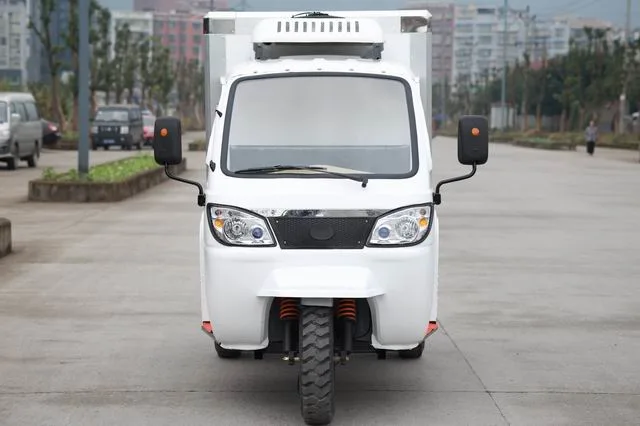 Cargo Loader Three Wheeler Close Driver Cabin