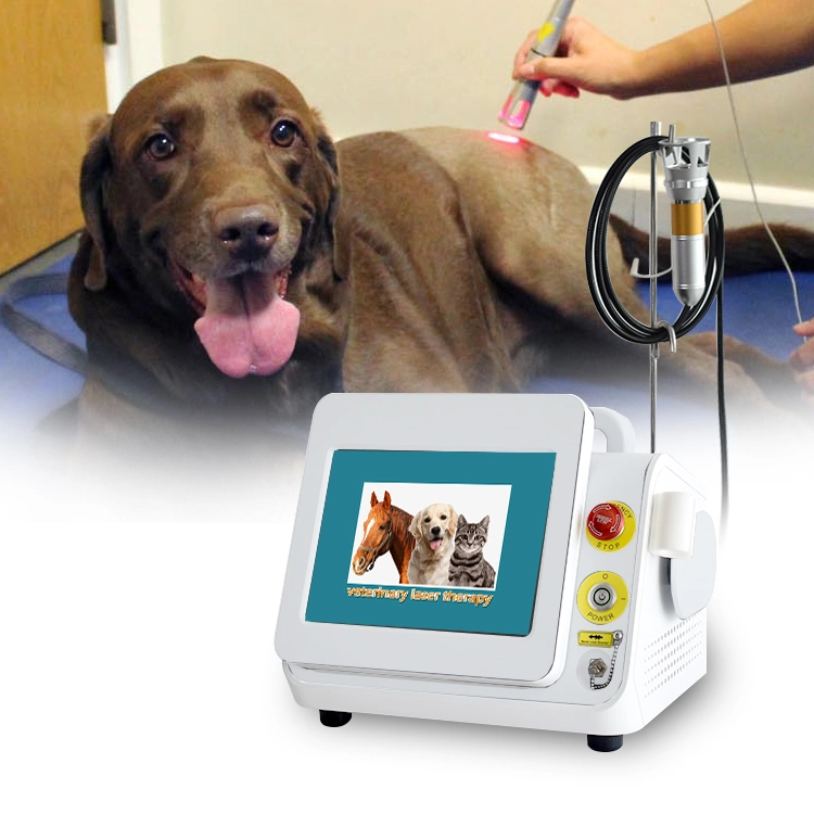 High Intensity 60W Physical Therapy Veterinary Laser Therapy Equipment for Dog Horse Cat Pain Relief