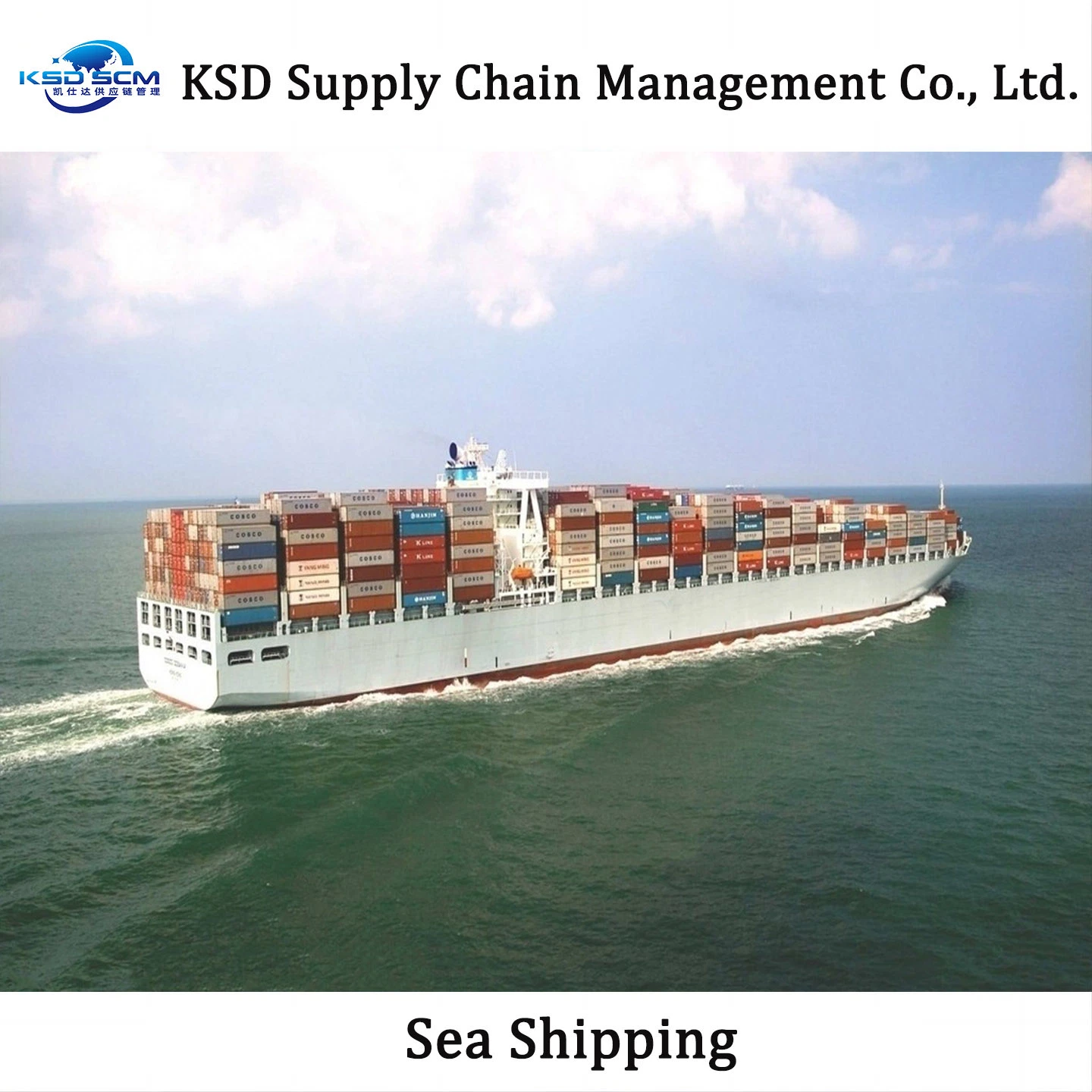 Cheapest Sea Shipping Container 40FT Forwarder From China to Indian Sea Freight Shipping