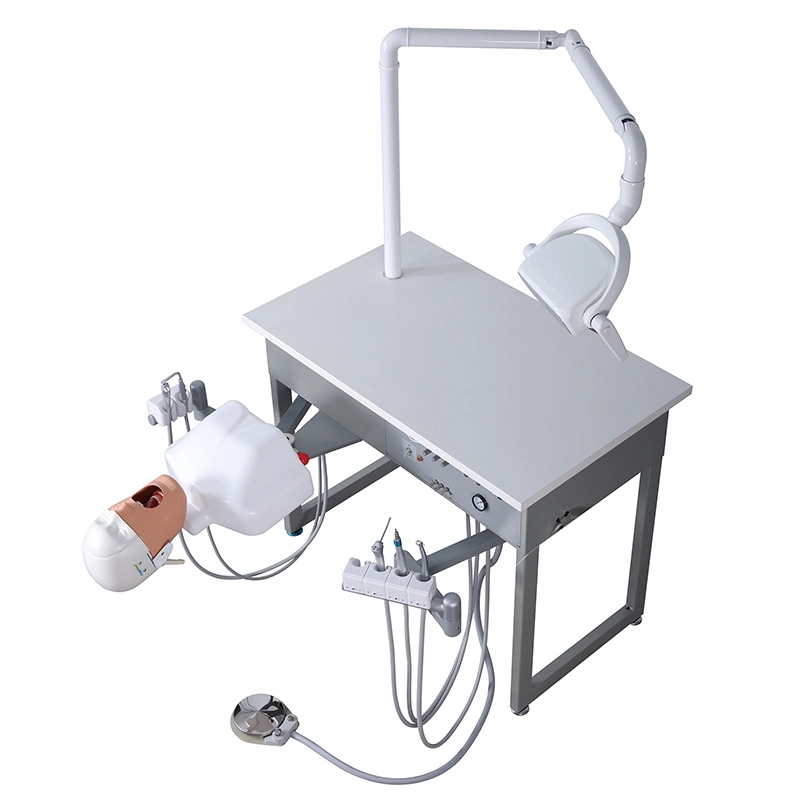 Dental Training System Unit Medical School Use Dental Phantom Head Simulator