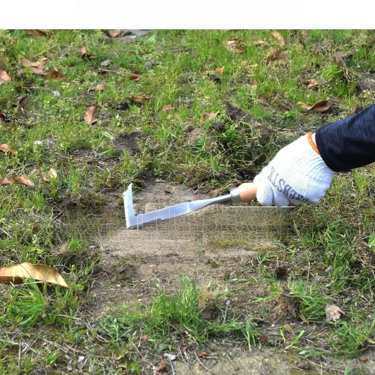 Salida de fábrica Crack Weeder grieta escardar Beech manejar la herramienta de jardinería jardín césped