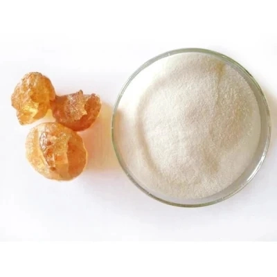 China Hot Selling Natural Organic Raw CAS 9000-01-5 Arabic Gum Powder