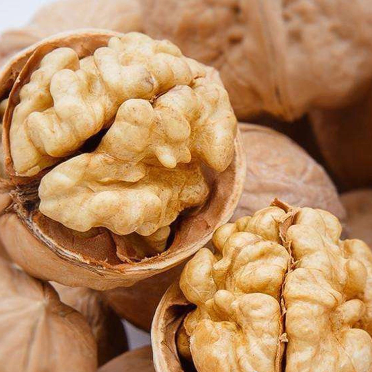 Prix bon marché naturel coquille mince meilleur séché les cerneaux de noix