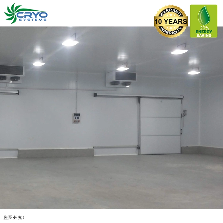 B18 20% Power Saving Potato European Quality Cold Storage for Fruit and Vegetable Warehouse Chiller Room 100t 5c