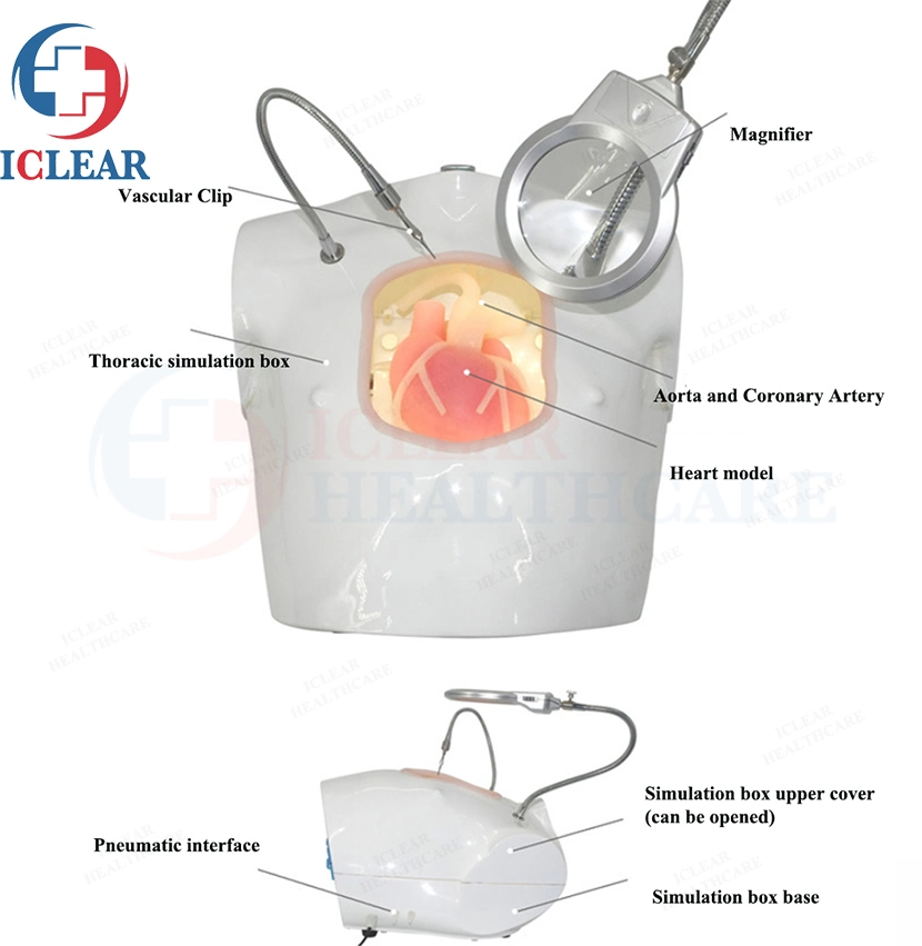 Heart Bypass Training Simulator