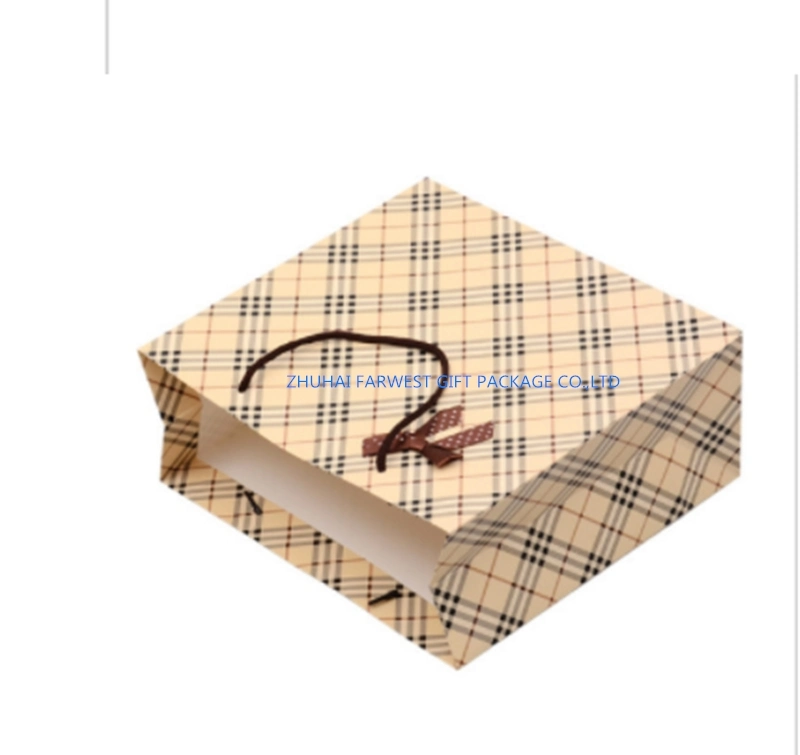 Paper Gift Bag White Paper Bags with Rope Handle for Garment Small Gift Package