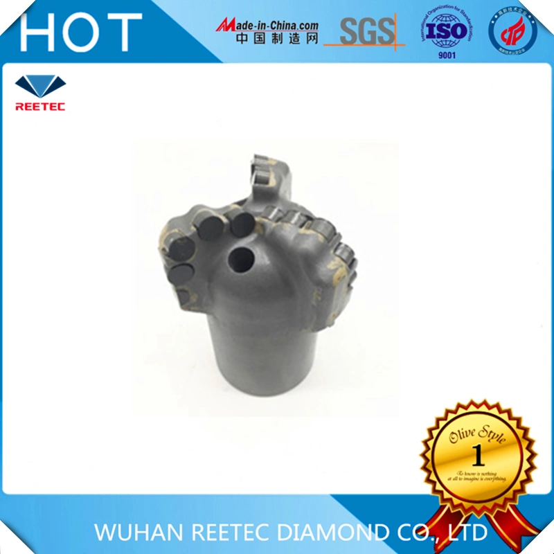 Diamond Cutting Tool PDC Cutter for Protect The Diameter of Oil&Gas Drill Bit