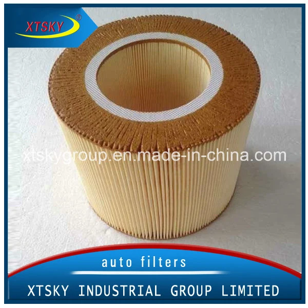 Hot Sale China Supplier Auto Parts Air Filter (C18143)