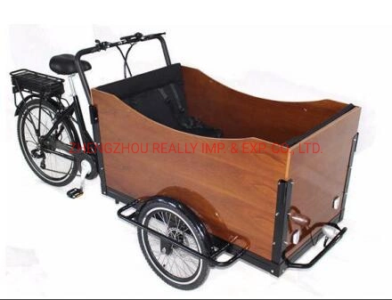 Three Wheels Electric Cargo Bike Family Adult Tricycle Outdoor Food Vending Cart