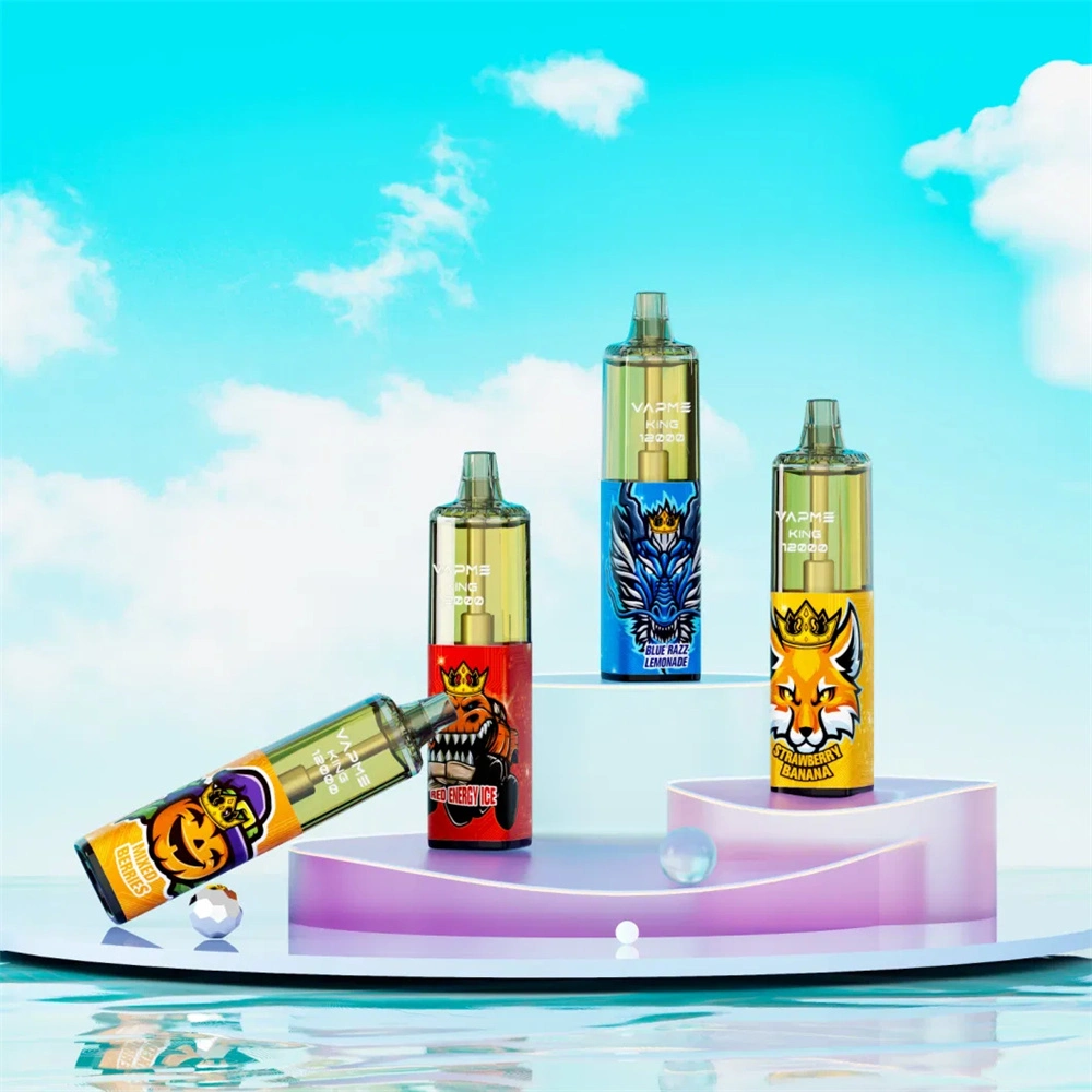 Disposable/Chargeable Vape Vapme King 12000 Puff 0% Nicotine