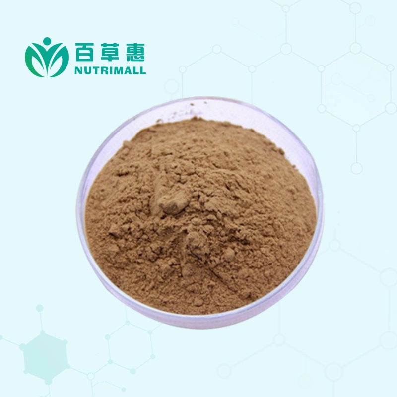 ISO Factory Supply 4: 1, 10: 1 Passion Flower Extract