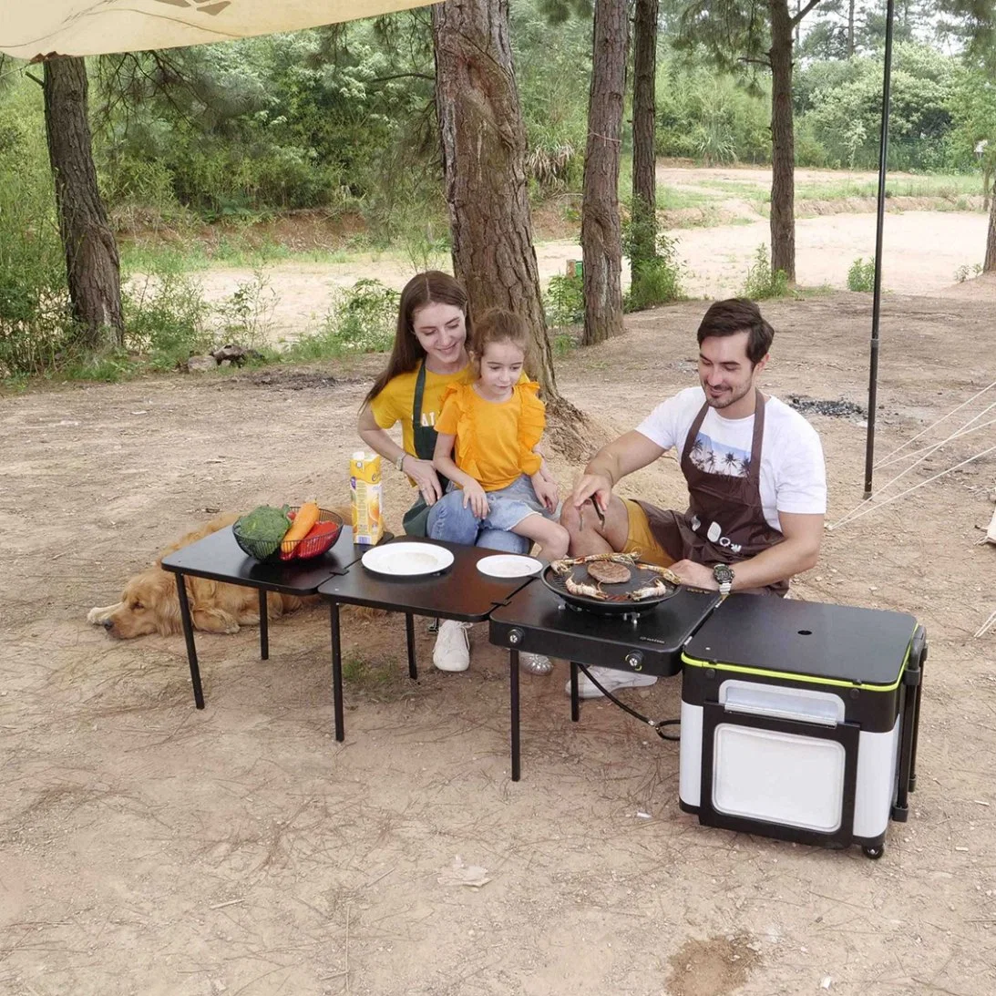 Le tout dans un camping en plein air Cuisine barbecue boîte Iron Grill Table Table à manger