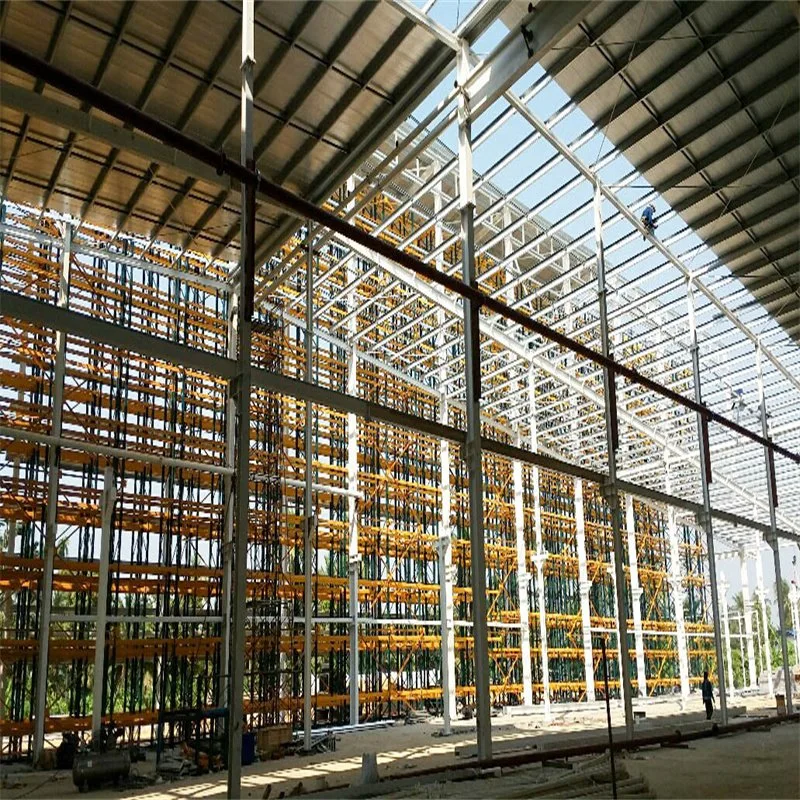 Steel Fabric Workshop Warehouse Building in Thailand