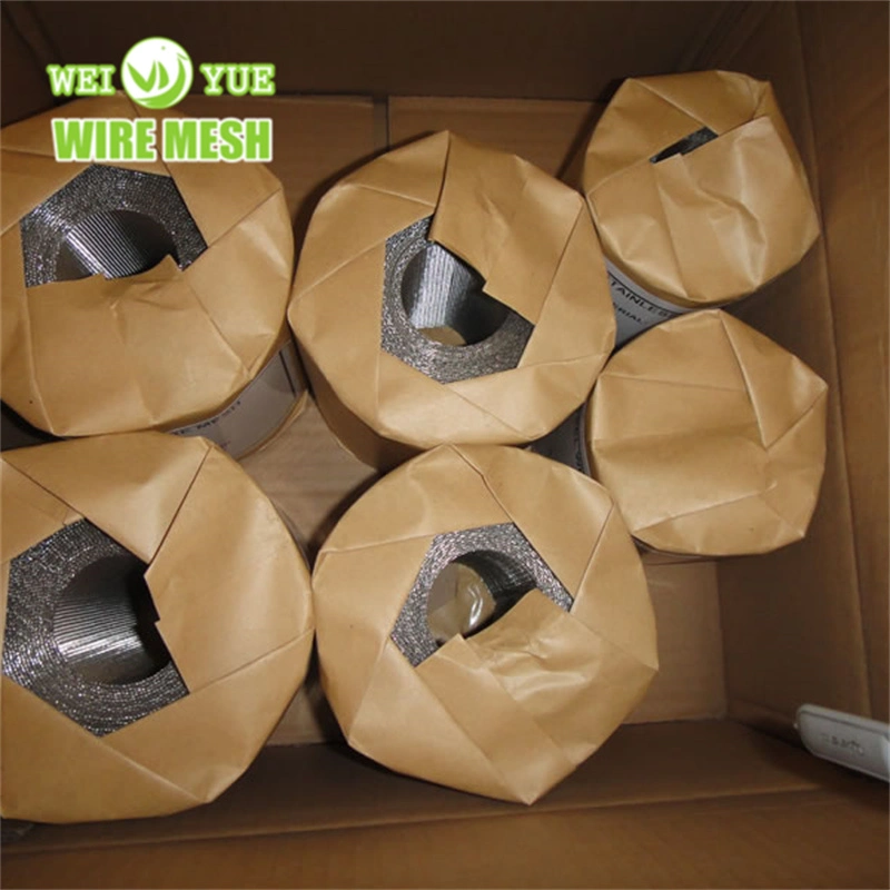 132X17 Plastic Extrusion Stainless Steel Wire Metal Filter Mesh Belt for PP