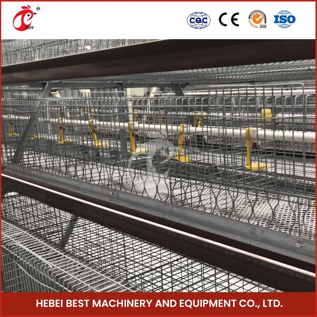 Bestchickencage uma Cage de tipo China Hen Cage Manufacturing Amostra gratuita de equipamento de gaiola de aves para configuração automática do sistema de gaiola de bateria