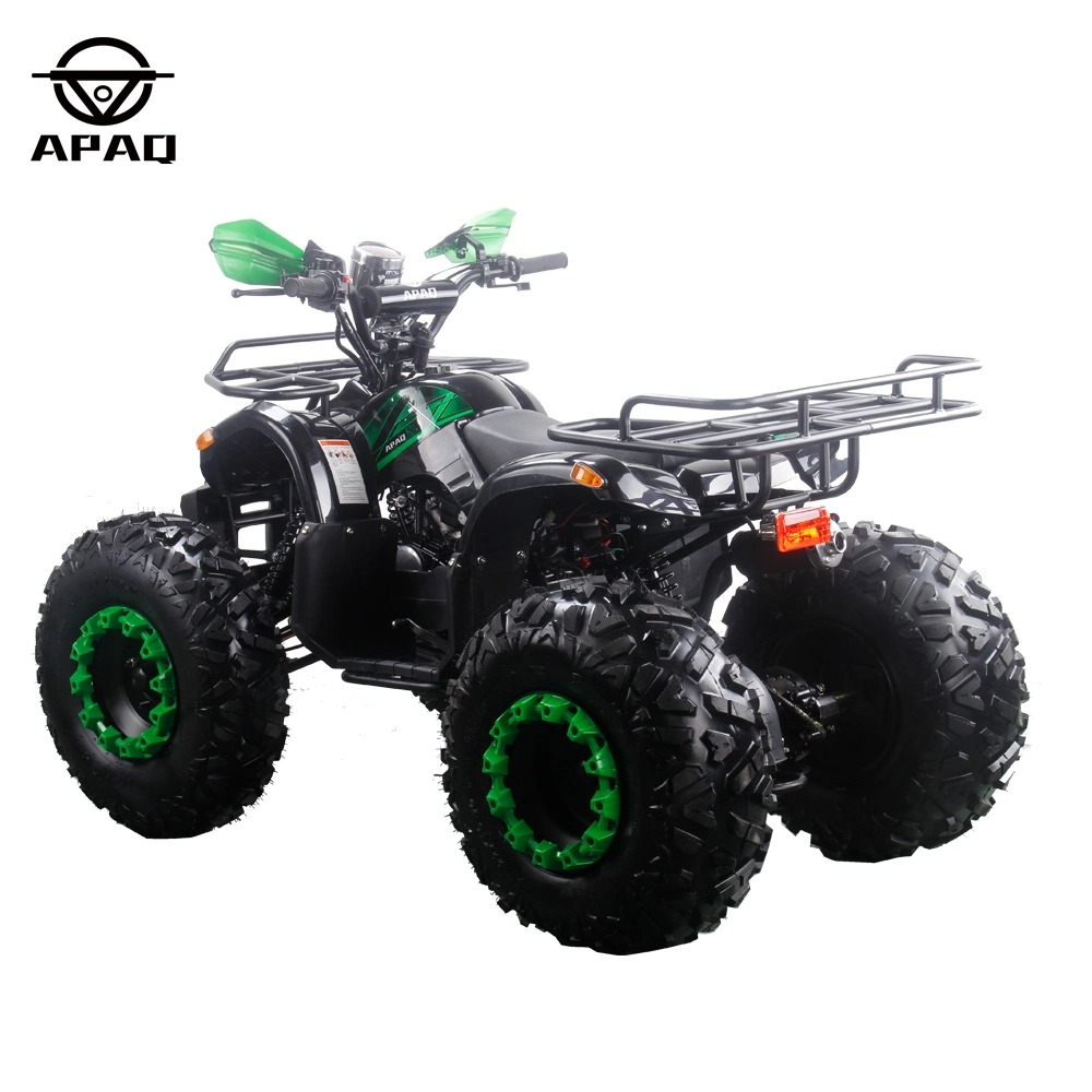 Apq125-5 with CE 125cc Powerful Gasoline ATV Electric Start Quads