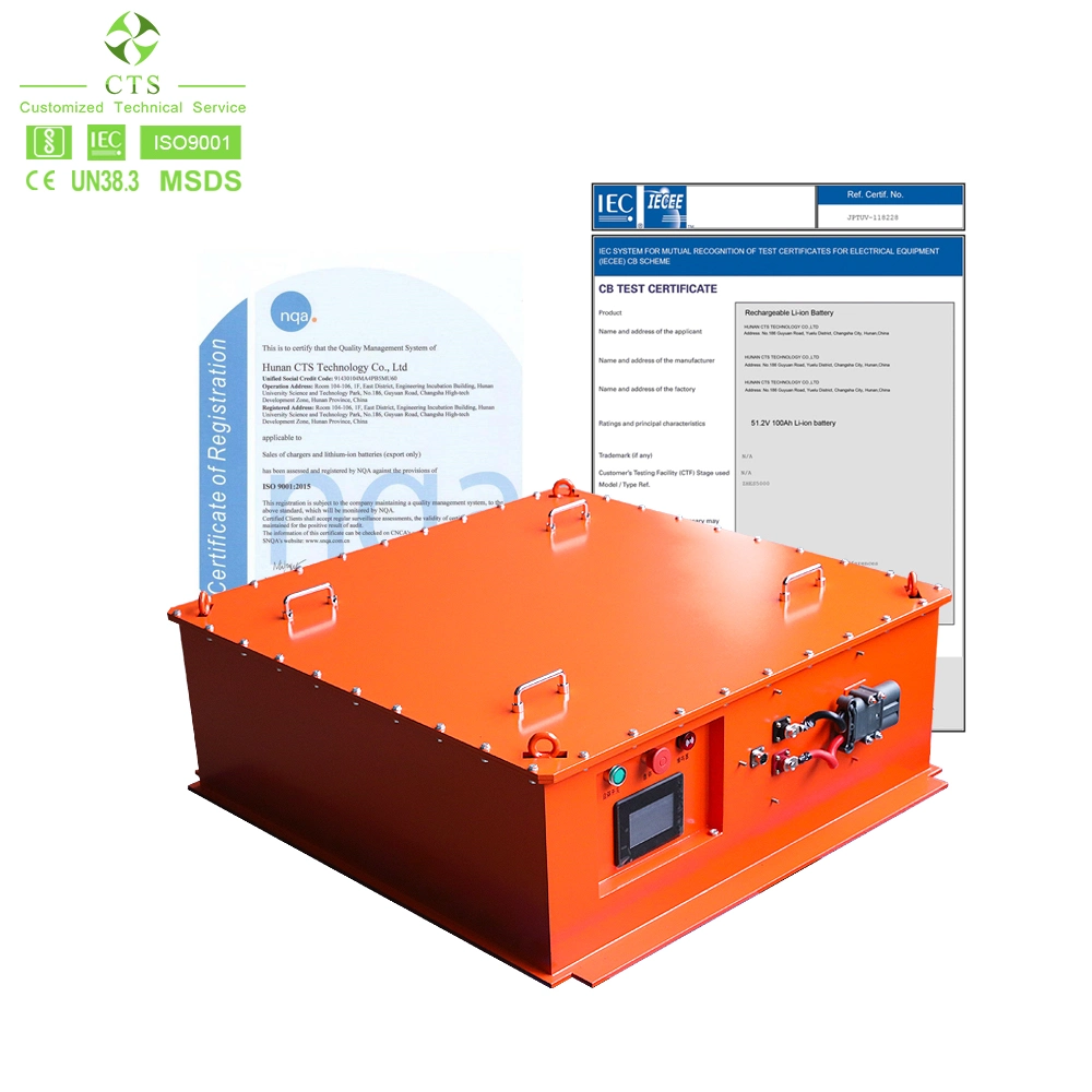 Cts OEM Deep Cycle 48V 302ah LiFePO4 Battery 15kwh for Low-Speed Car Electric Tramcar