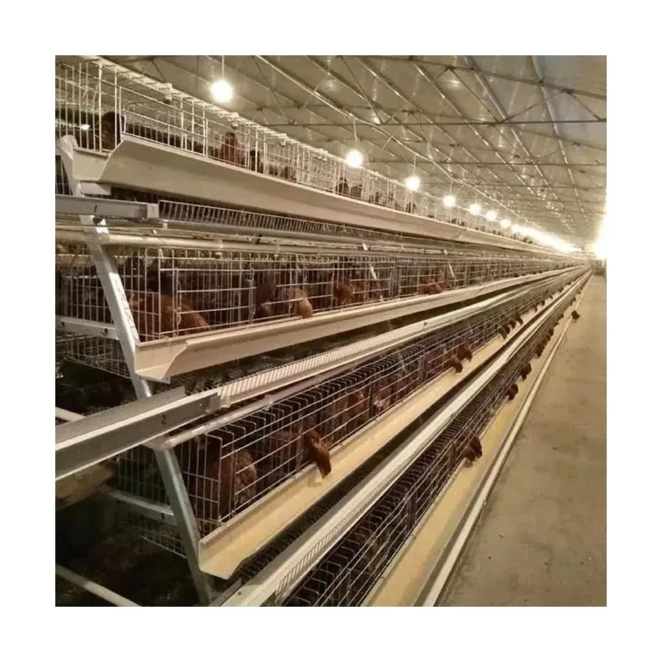 Un type 4 niveaux de la batterie de la couche d'oeufs de poules pondeuses en cage de poulet automatique