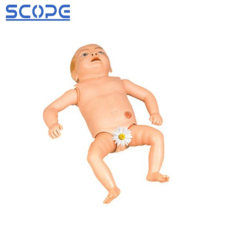 Advanced PVC Medical Teaching Simulator Sc-H140 Senior Infant Nursing Manikin