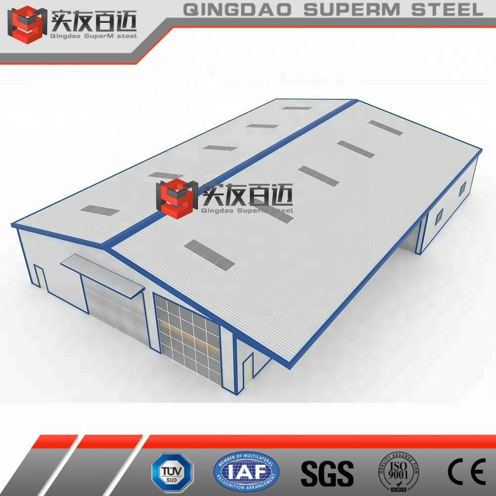 1000 Sqm Prefab Steel/Metal Structure Frame Plant for Production/Produce/Process/Storage