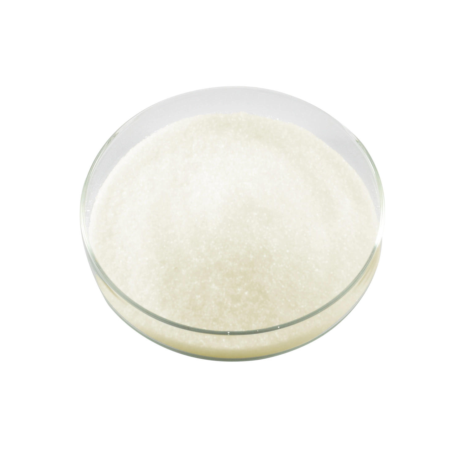 Food and Industrial-Grade Xanthan Gum for Various Applications