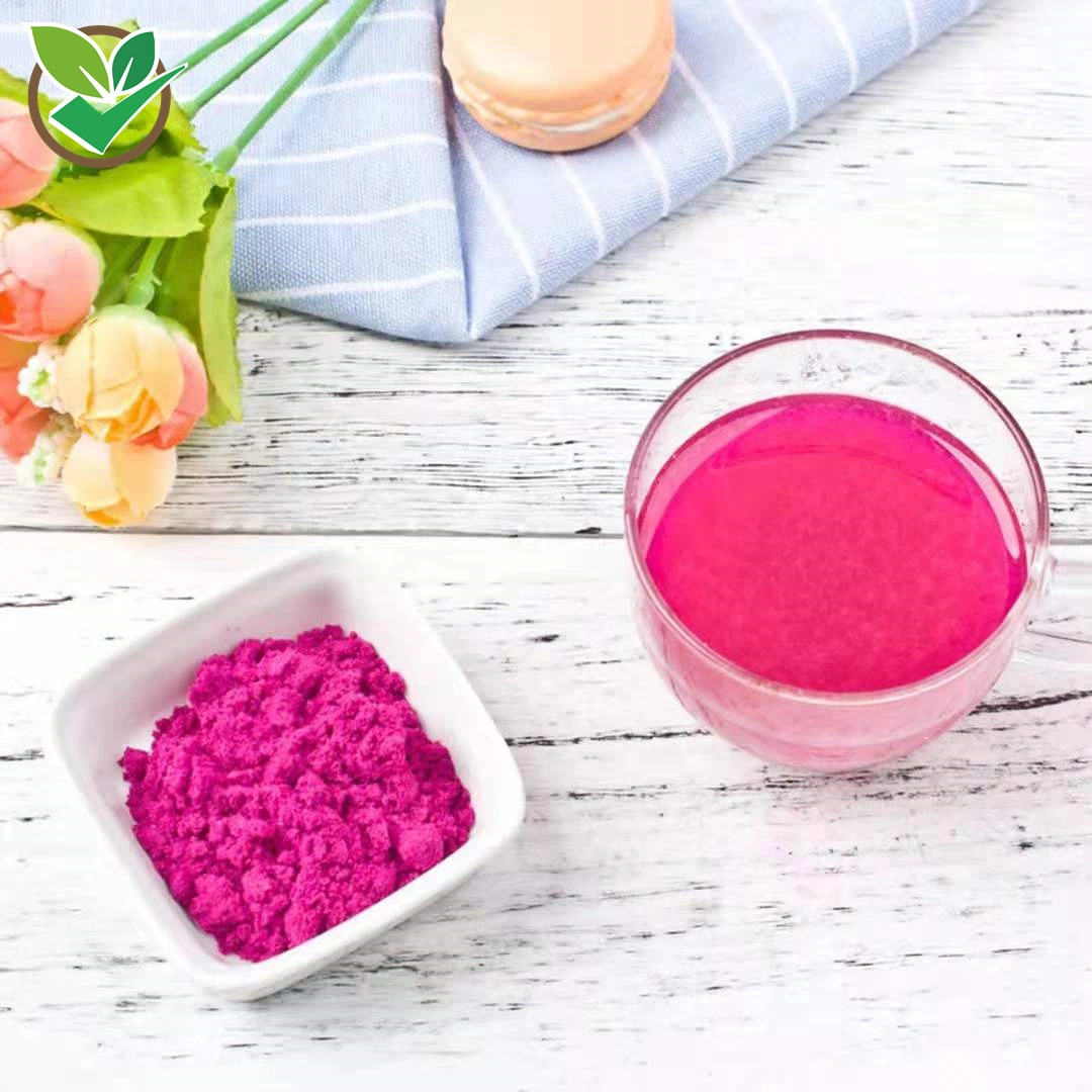 100% Poudre de fruit de Pitaya Rouge déshydraté biologique naturel